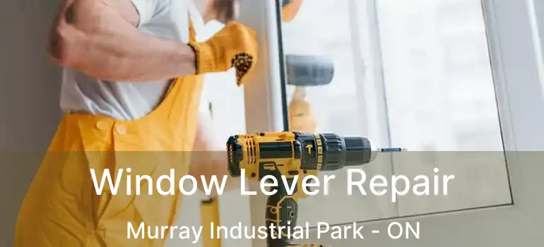  Window Lever Repair Murray Industrial Park - ON