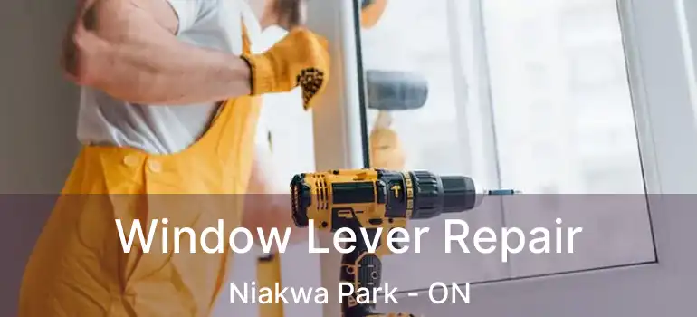  Window Lever Repair Niakwa Park - ON