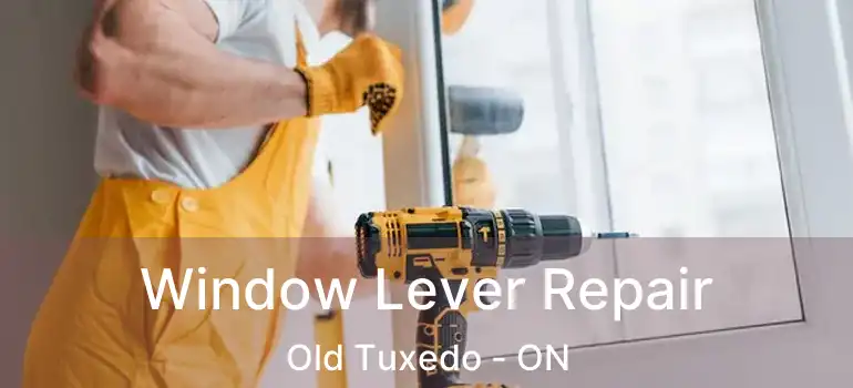  Window Lever Repair Old Tuxedo - ON