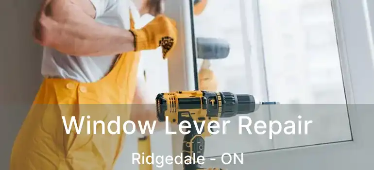  Window Lever Repair Ridgedale - ON