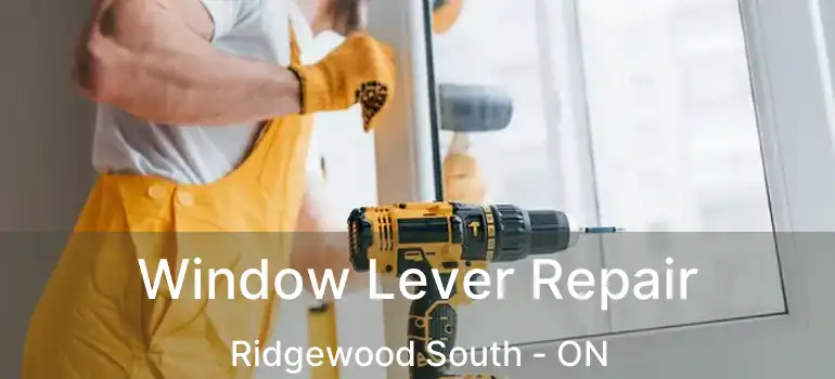  Window Lever Repair Ridgewood South - ON