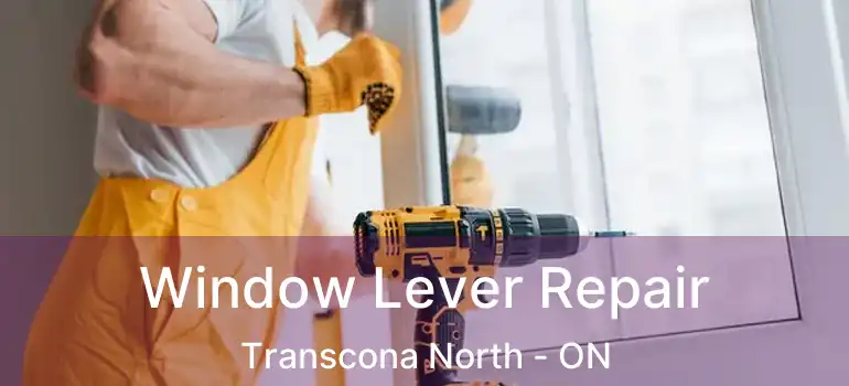  Window Lever Repair Transcona North - ON