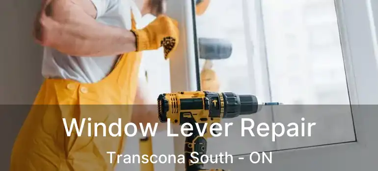  Window Lever Repair Transcona South - ON
