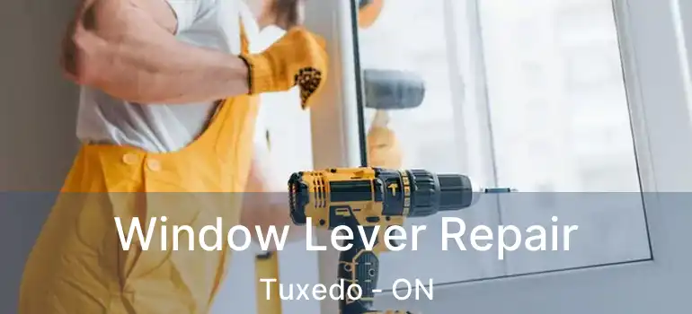  Window Lever Repair Tuxedo - ON