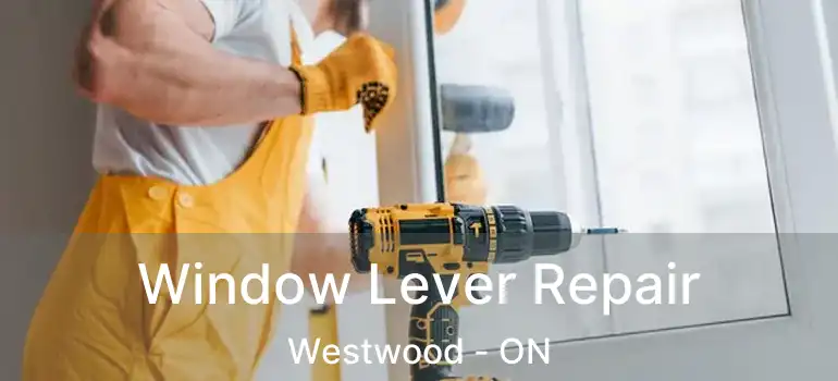  Window Lever Repair Westwood - ON