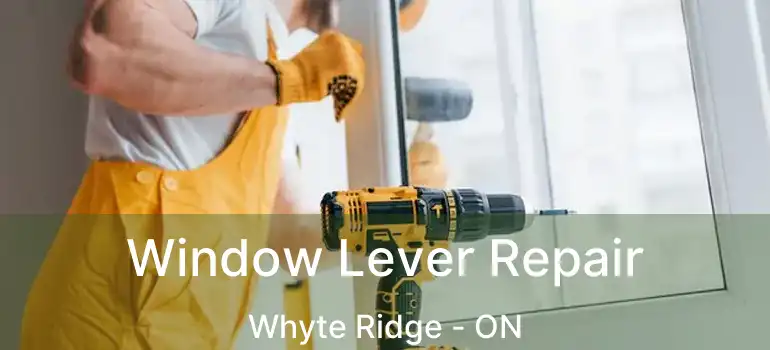  Window Lever Repair Whyte Ridge - ON