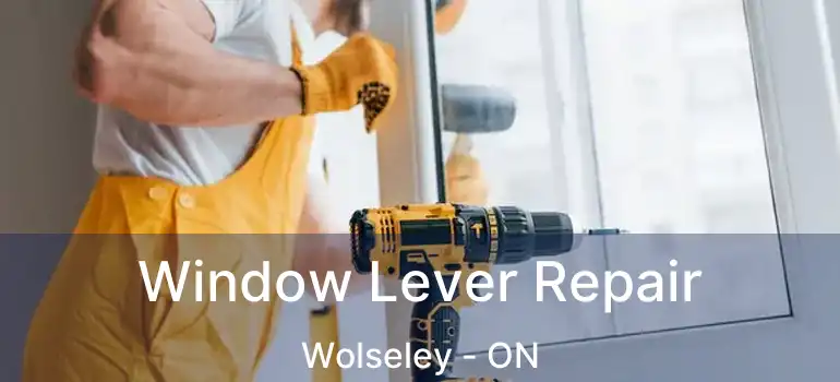  Window Lever Repair Wolseley - ON