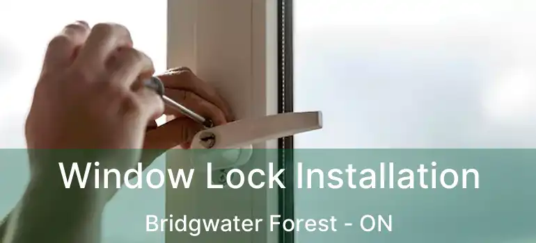  Window Lock Installation Bridgwater Forest - ON