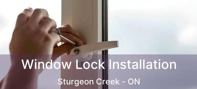  Window Lock Installation Sturgeon Creek - ON