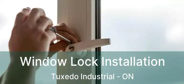  Window Lock Installation Tuxedo Industrial - ON