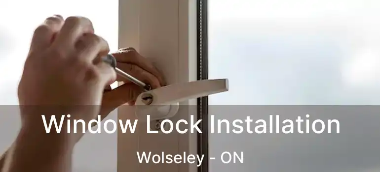  Window Lock Installation Wolseley - ON