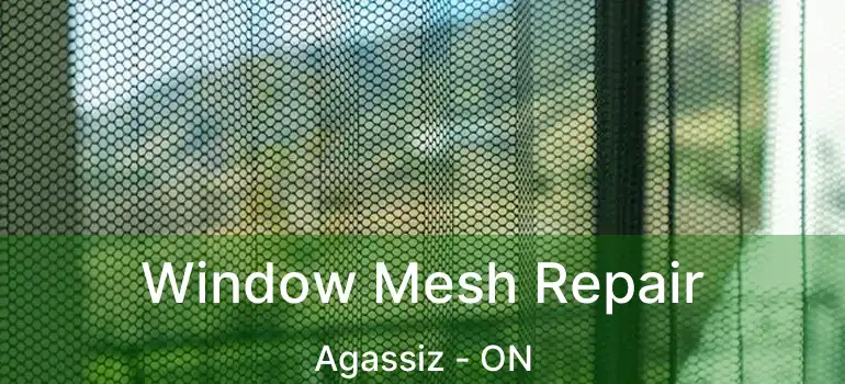  Window Mesh Repair Agassiz - ON