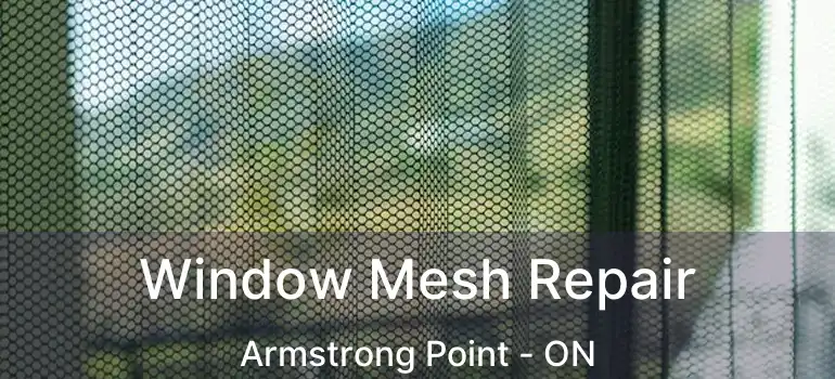  Window Mesh Repair Armstrong Point - ON