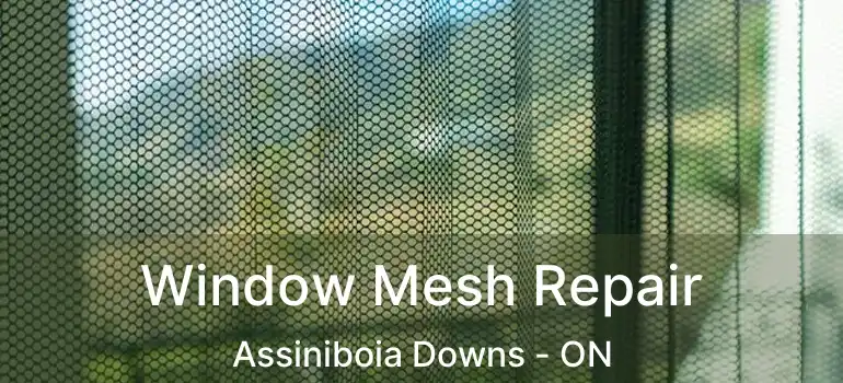  Window Mesh Repair Assiniboia Downs - ON