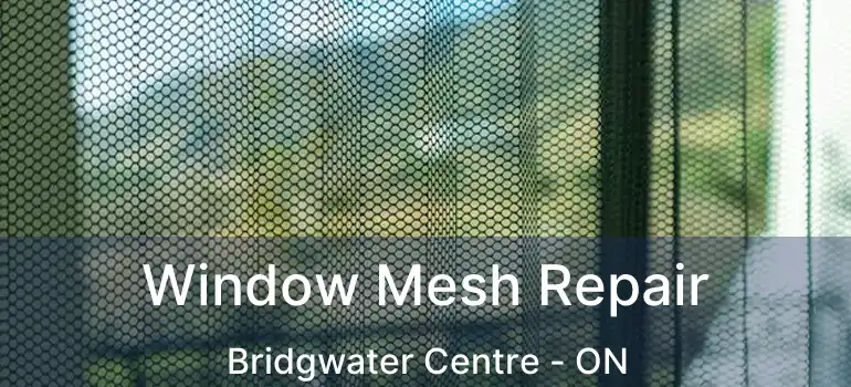  Window Mesh Repair Bridgwater Centre - ON