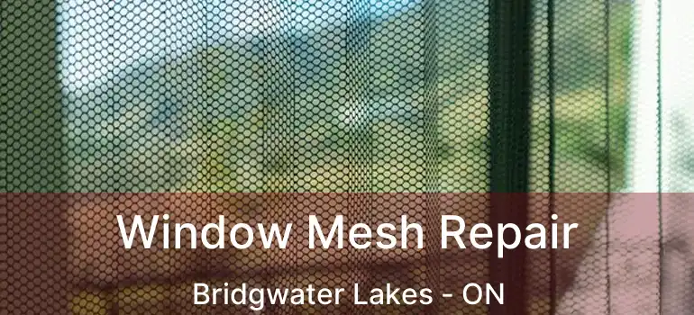  Window Mesh Repair Bridgwater Lakes - ON