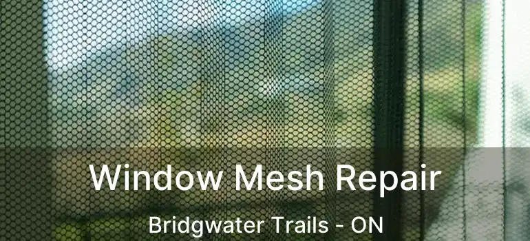  Window Mesh Repair Bridgwater Trails - ON