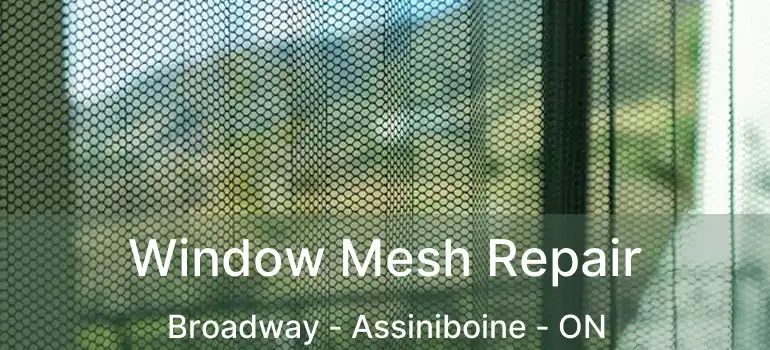  Window Mesh Repair Broadway - Assiniboine - ON