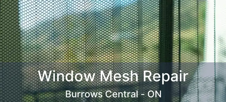  Window Mesh Repair Burrows Central - ON