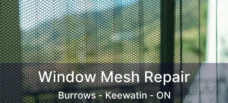  Window Mesh Repair Burrows - Keewatin - ON