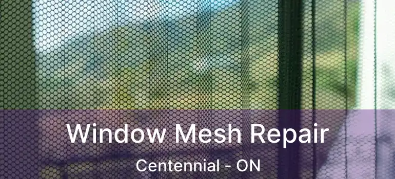  Window Mesh Repair Centennial - ON