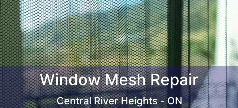  Window Mesh Repair Central River Heights - ON