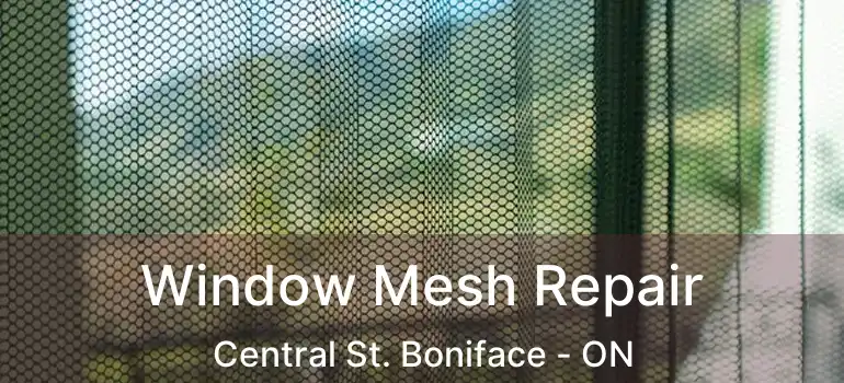  Window Mesh Repair Central St. Boniface - ON