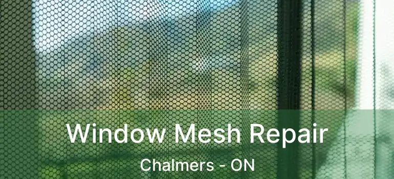  Window Mesh Repair Chalmers - ON