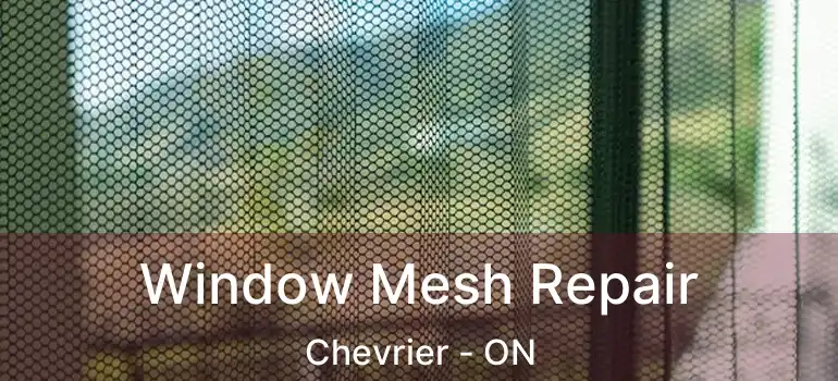  Window Mesh Repair Chevrier - ON