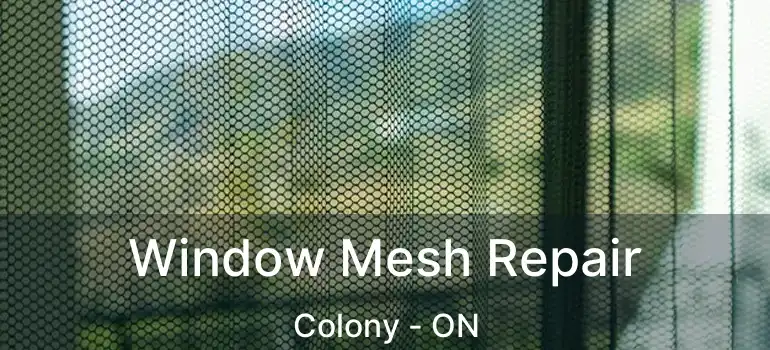  Window Mesh Repair Colony - ON