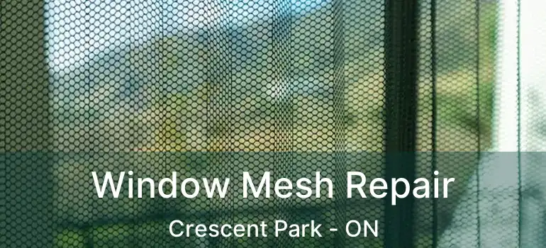  Window Mesh Repair Crescent Park - ON