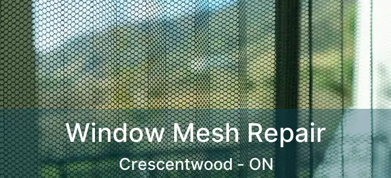  Window Mesh Repair Crescentwood - ON