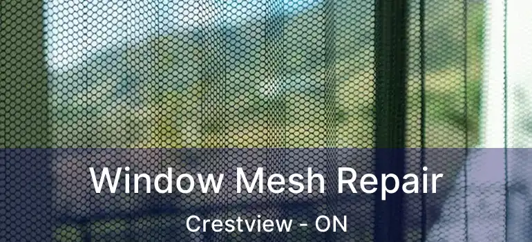 Window Mesh Repair Crestview - ON