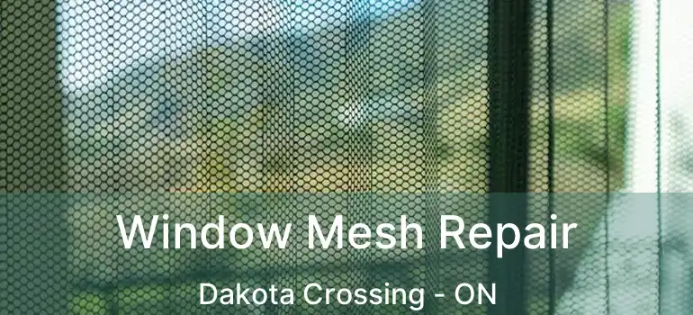  Window Mesh Repair Dakota Crossing - ON