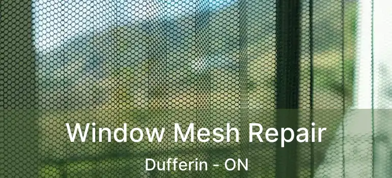  Window Mesh Repair Dufferin - ON