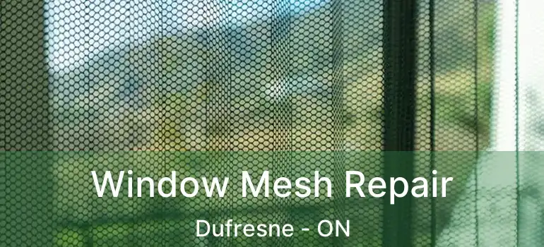  Window Mesh Repair Dufresne - ON
