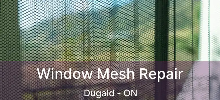  Window Mesh Repair Dugald - ON