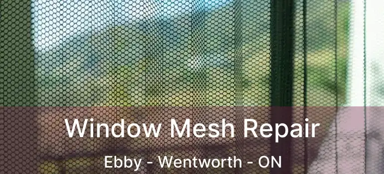  Window Mesh Repair Ebby - Wentworth - ON