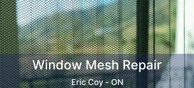  Window Mesh Repair Eric Coy - ON