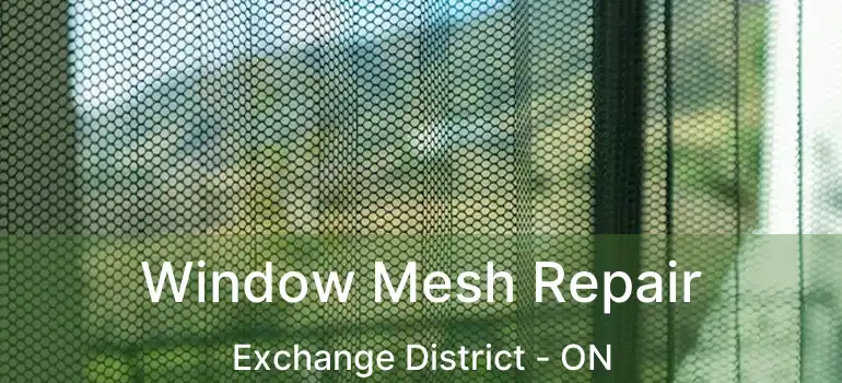  Window Mesh Repair Exchange District - ON
