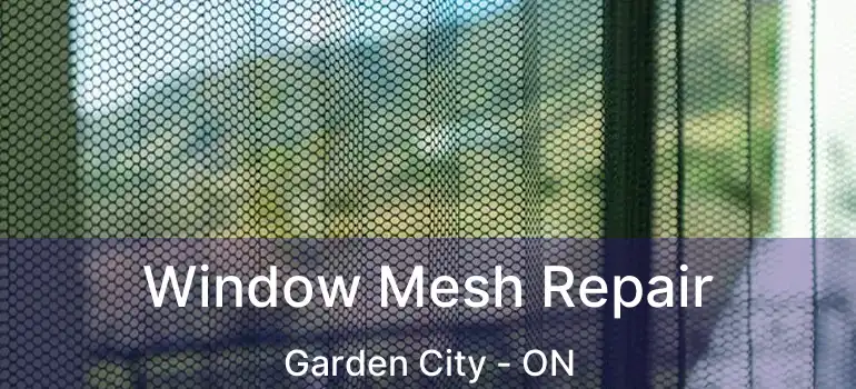  Window Mesh Repair Garden City - ON