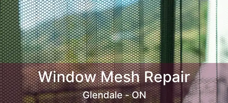  Window Mesh Repair Glendale - ON