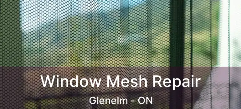  Window Mesh Repair Glenelm - ON
