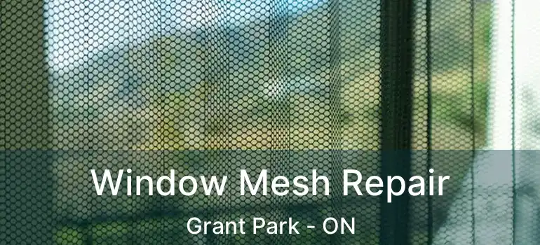  Window Mesh Repair Grant Park - ON