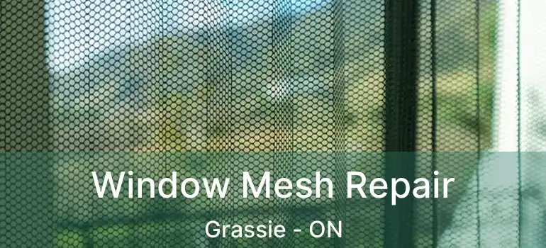  Window Mesh Repair Grassie - ON