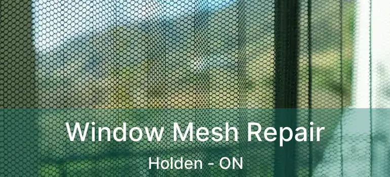  Window Mesh Repair Holden - ON