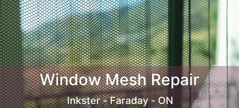  Window Mesh Repair Inkster - Faraday - ON