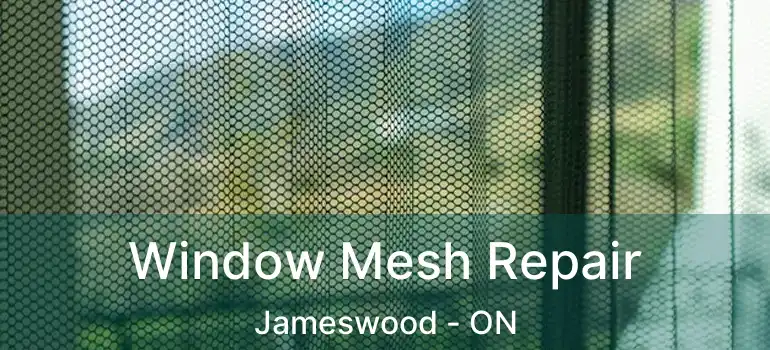  Window Mesh Repair Jameswood - ON