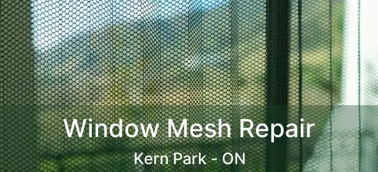 Window Mesh Repair Kern Park - ON