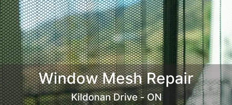  Window Mesh Repair Kildonan Drive - ON